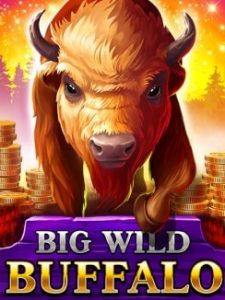 spintexas-BigWildBuffalo