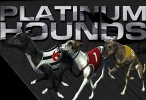 spintexas-sports-platinumhounds